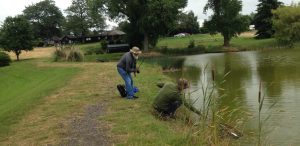 Landing a trout during a fly fishing lesson.