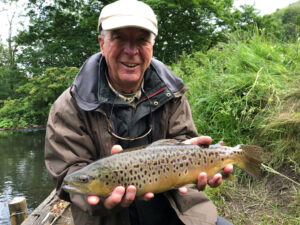 big brown trout caugfhgt during a guided fishing day.