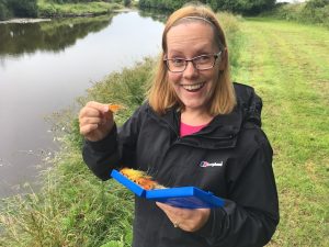 picking salmon flies