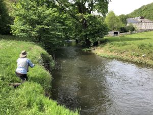 Spring river fly fishing for trout in England.