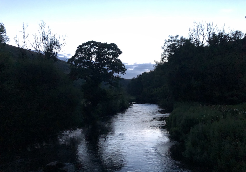 Late evening out on the river in Summer.