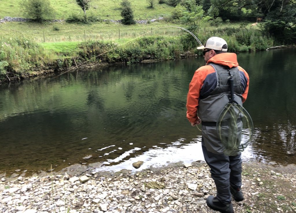 Landing a wild brown trout while fly fishing Derbyshire's river Wye in August.