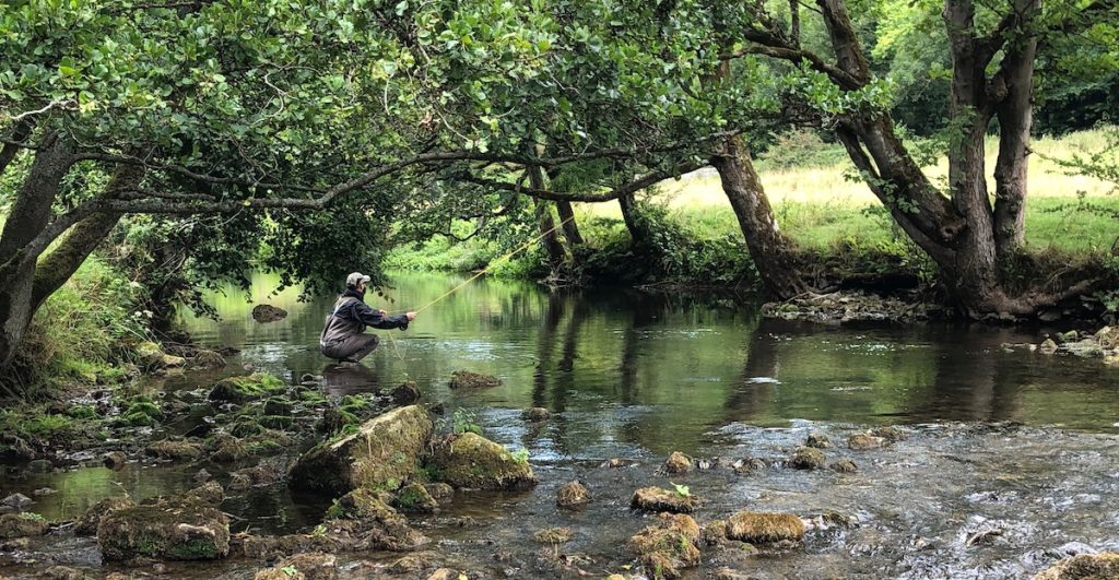 Casting a fly to rising river trout in summer.