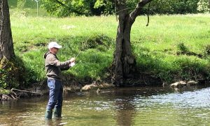 hooking a trout on a dry fly during June.